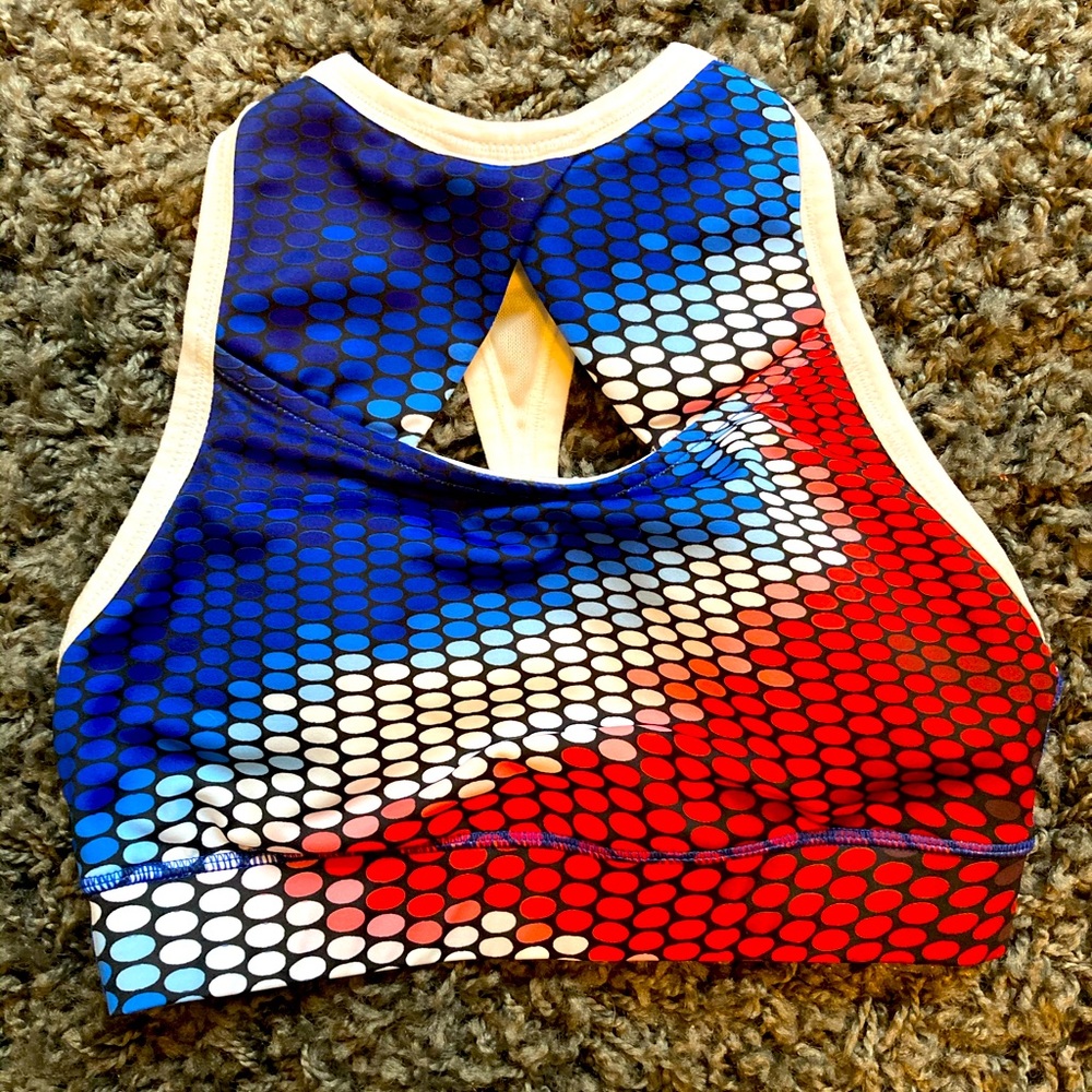 The Chestee bra size 4